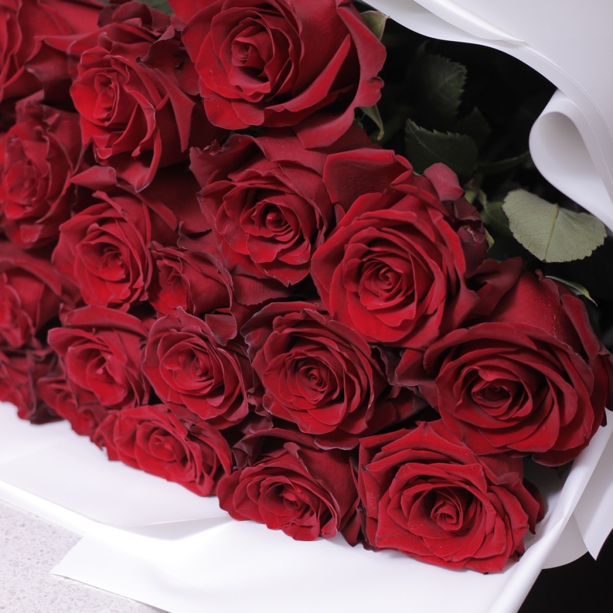 buket krasnyh roz 6